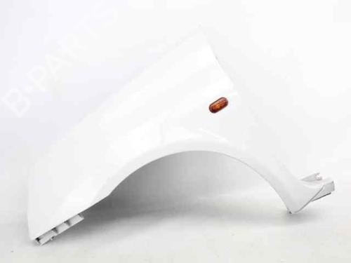 Used Left front fenders RENAULT CLIO II (BB_, CB_) 1.5 dCi (B/CB07) (65 hp) 30557043