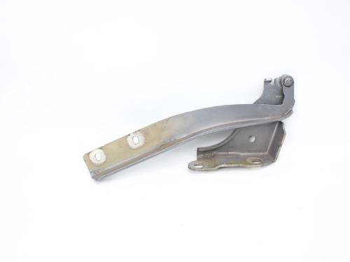 Hinge/Door check strap FIAT GRANDE PUNTO (199_) 1.3 D Multijet (199.AXD11, 199.AXD1A, 199.AXD1B,... | BP19210068C146 