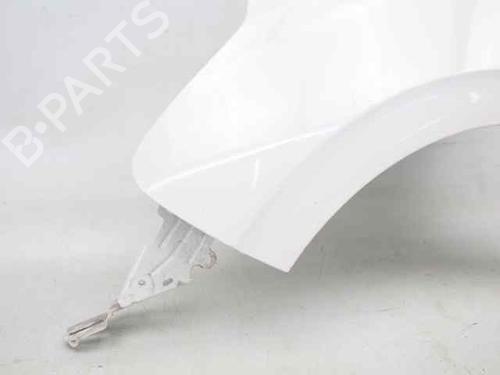 Left front fenders PEUGEOT 208 I (CA_, CC_) 1.6 HDi | BP29320670C41 