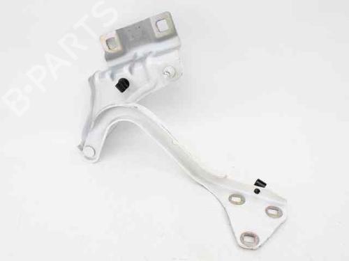 Used Hinge/Door check strap RENAULT MEGANE IV Grandtour (K9A/M/N_) 1.5 dCi 110 (110 hp) 29143724