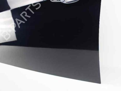 Left front door BMW 3 (E90)  | BP19237382C2 