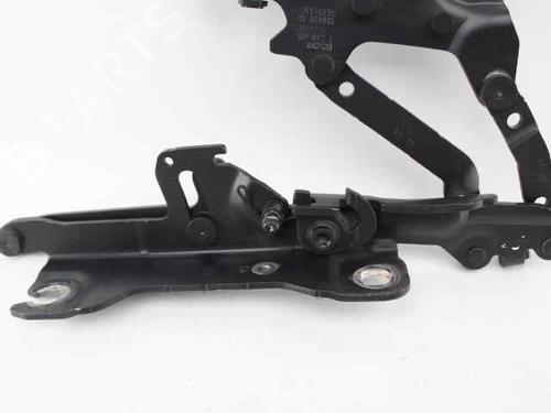 Hinge/Door check strap BMW 3 (F30, F80) 320 d | BP26450449C146 