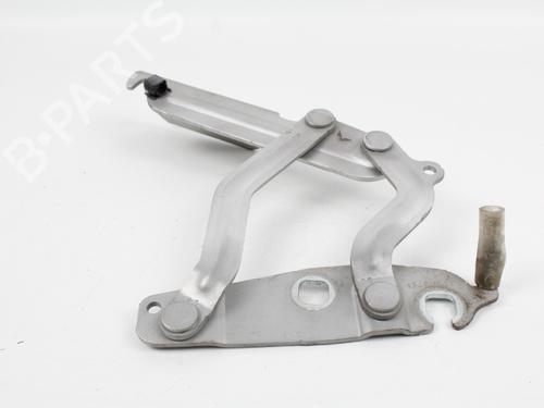 Hinge/Door check strap FORD FIESTA VI (CB1, CCN)  | BP19208553C146 