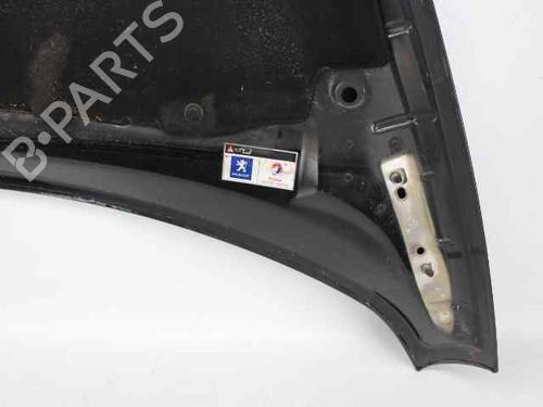 Hood PEUGEOT 3008 I MPV (0U_) 2.0 HDi 150 / BlueHDi 150 | BP19240768C1