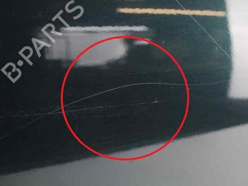 Left front door BMW 3 (E90)  | BP23334744C2 