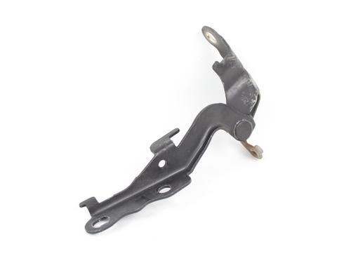 Hinge/Door check strap TOYOTA COROLLA Estate (_E12_) 1.4 VVT-i (ZZE120_, ZZE120R) BP19209076C146