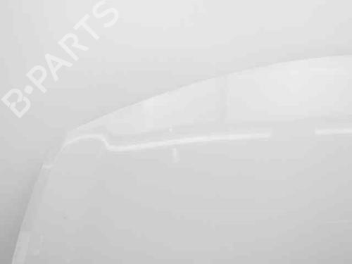 Hood RENAULT CLIO III (BR0/1, CR0/1) 1.5 dCi (BR17, CR17) | BP19221840C1