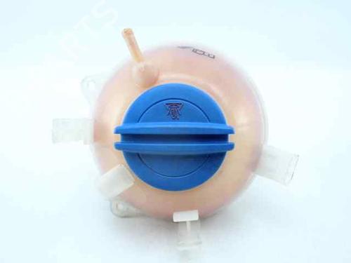 Expansion tank VW PASSAT B6 (3C2) 1.6 TDI | BP21199689C120 
