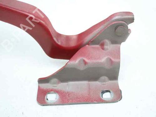 Hinge/Door check strap NISSAN QASHQAI / QASHQAI +2 I (J10, NJ10, JJ10E)  | BP19233014C146 
