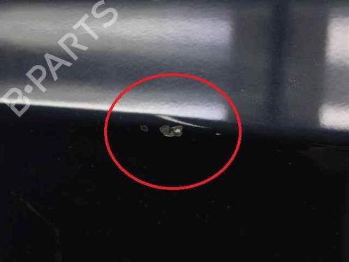 Right front door BMW 3 (E90)  | BP19237379C3 