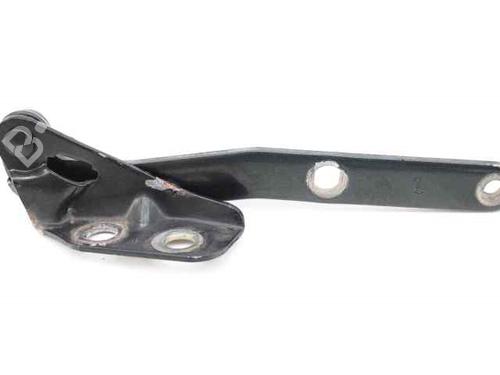 Hinge/Door check strap LAND ROVER FREELANDER I (L314)  | BP19227815C146 