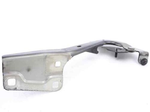 Hinge/Door check strap RENAULT MEGANE III Hatchback (BZ0/1_, B3_) 1.5 dCi | BP19234247C146 