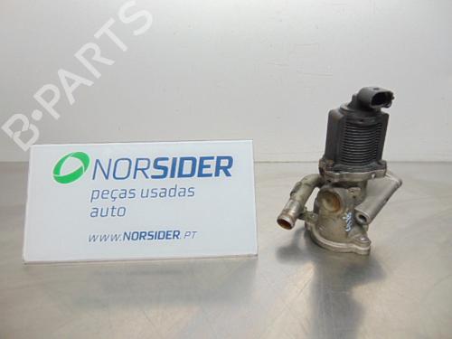 Used Egr FIAT GRANDE PUNTO (199_) 1.3 D Multijet (75 hp) 19196189