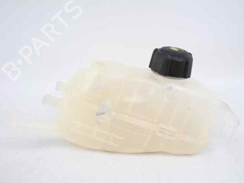 Expansion tank RENAULT GRAND SCÉNIC III (JZ0/1_) 1.5 dCi (JZ09, JZ0D, JZ10, JZ14, JZ1G, JZ29, JZ2C) | BP19233712C120 