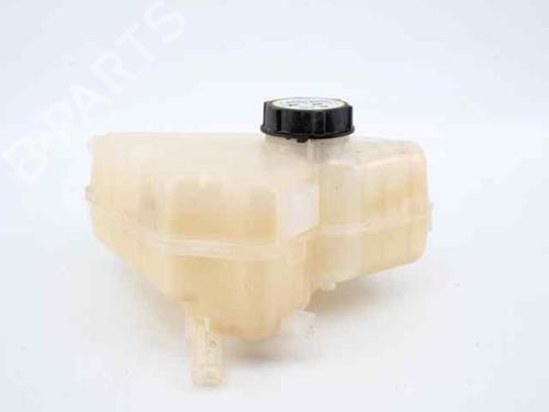 Expansion tank FORD FIESTA VI (CB1, CCN) 1.5 TDCi | BP19223309C120 