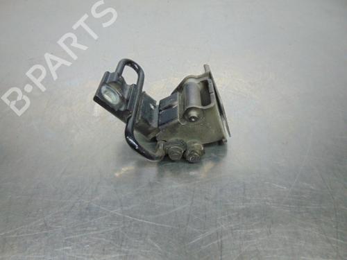Hinge/Door check strap SEAT IBIZA III (6L1)  | BP19199896C146 