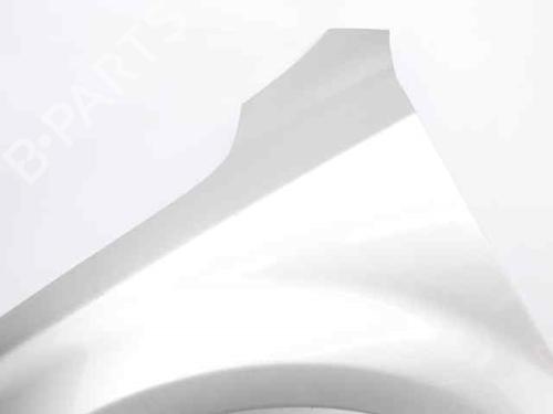 Left front fenders KIA CEE'D Hatchback (ED) 1.6 CRDi 115 | BP22439631C41 