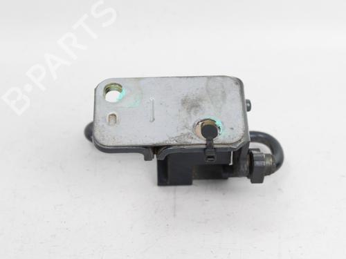 Hinge/Door check strap VW POLO (9N_, 9A_) 1.9 SDI | BP19206001C146 