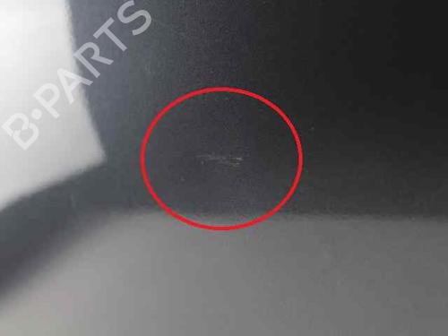 Left rear door BMW 1 (E87)  | BP19221311C4 