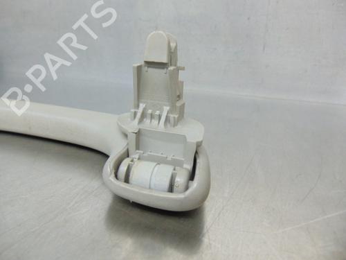 Interior roof handle RENAULT MEGANE II (BM0/1_, CM0/1_) 1.5 dCi (BM0F, BM0T, BM2B, CM0F, CM0T) | BP19199198I35 