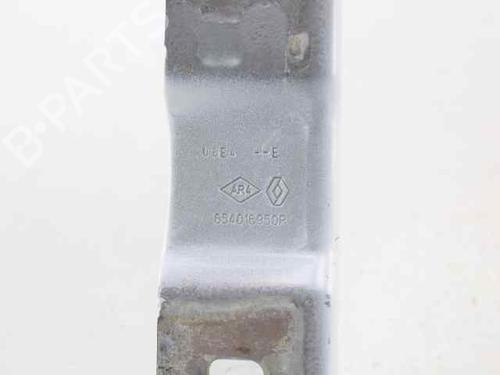 Hinge/Door check strap DACIA JOGGER (RK_) 1.0 TCe 90 ECO-G (RKMT) | BP31366937C146