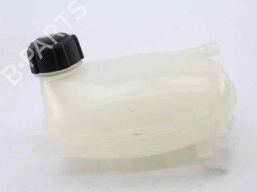 Ekpansionstank DACIA JOGGER (RK_) 1.0 TCe 90 ECO-G (RKMT) | BP31366939C120