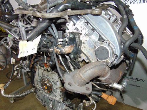 Moteur AUDI A6 C5 Avant (4B5)  | BP19190207M1 