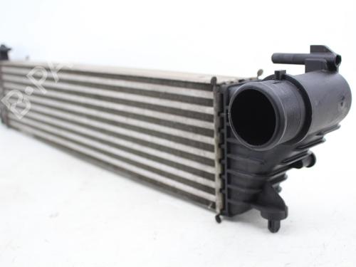 Intercooler FIAT 500L (351_, 352_) 1.3 D Multijet (199.LYM11, 199.LYM1A) | BP40554609M30 - Image 3