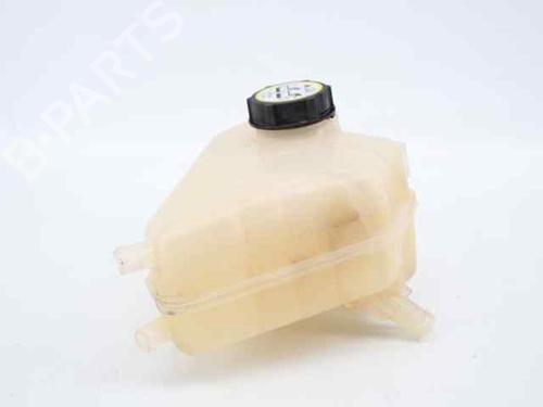 Expansion tank FORD FIESTA VI (CB1, CCN) 1.5 TDCi | BP19223309C120 