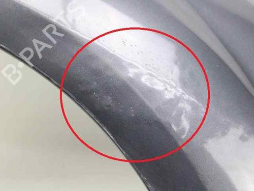 Right front fenders FORD FOCUS II Turnier (DA_, FFS, DS)  | BP19232891C42 