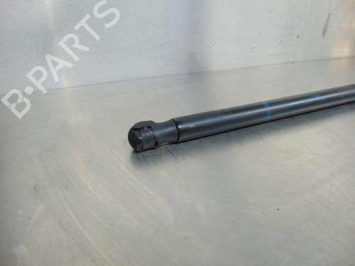 Tailgate lift support CITROËN C2 (JM_) 1.4 HDi | BP19200528C138 