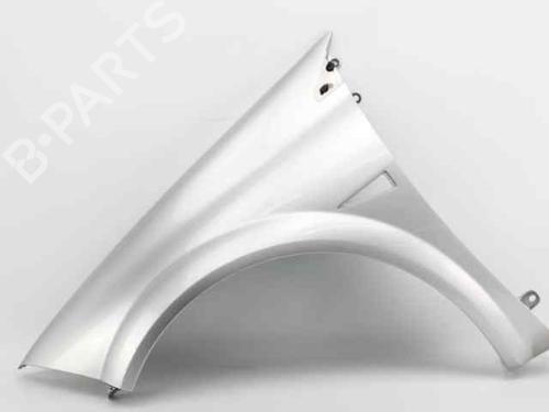 Used Left front fenders RENAULT MEGANE II (BM0/1_, CM0/1_) 1.5 dCi (BM1E, CM1E) (106 hp) 19235922