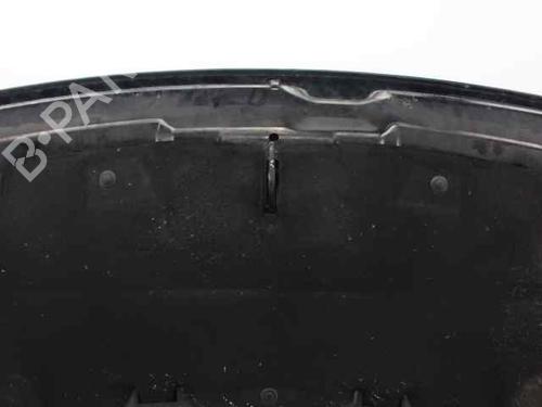 Hood PEUGEOT 3008 I MPV (0U_) 2.0 HDi 150 / BlueHDi 150 | BP19240768C1
