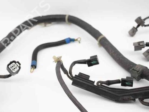 Wiring harness HONDA JAZZ II (GD_, GE3, GE2) 1.2 i-DSI (GD5, GE2) | BP19220786E16 