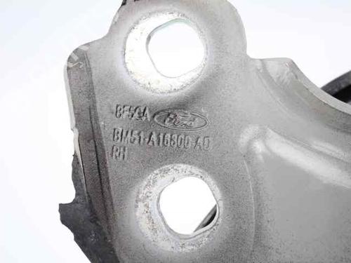 Hinge/Door check strap FORD FOCUS III 1.0 EcoBoost | BP20386016C146 