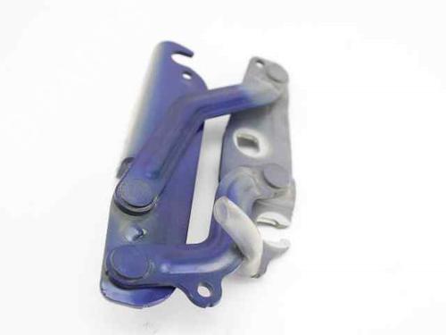 Hinge/Door check strap FORD FIESTA VI (CB1, CCN) 1.5 TDCi | BP19223234C146 