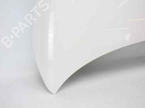 Hood FIAT 500 (312_) 1.2 (312AXA1A) | BP29986879C1