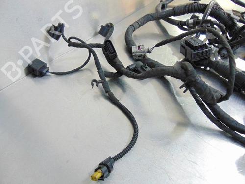 Kabelboom VW POLO V (6R1, 6C1)  | BP19190057E16 