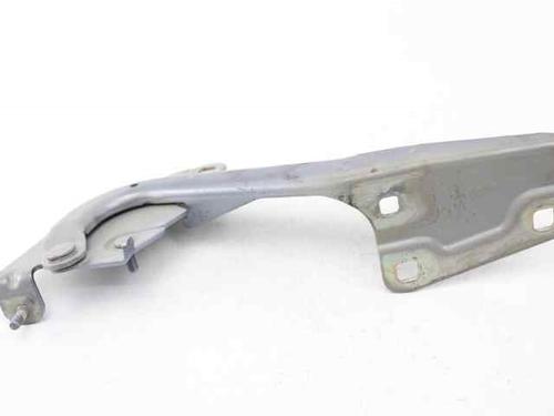 Hinge/Door check strap RENAULT MEGANE III Hatchback (BZ0/1_, B3_) 1.5 dCi | BP25828239C146 