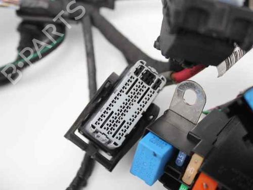 Ledningsnet RENAULT CLIO IV (BH_) 0.9 TCe 90 (BHNF, BHMA, BHMH, BHJK, BHJR) | BP29986920E16