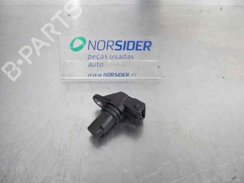 Elektronisk modul RENAULT MEGANE II (BM0/1_, CM0/1_) 1.9 dCi (131 hp) 19194328