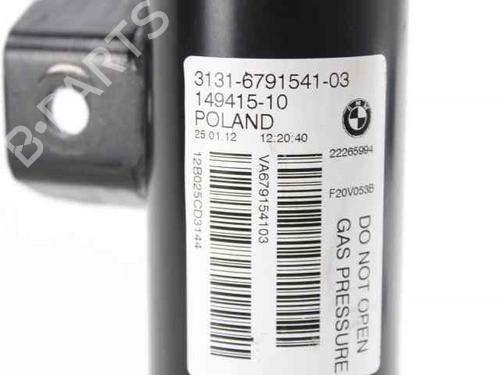 Left front shock absorber BMW 1 (F20) 116 d | BP19227204M16 
