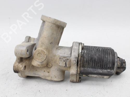 Egr OPEL CORSA D (S07) 1.3 CDTI (L08, L68) | BP19207801M69 