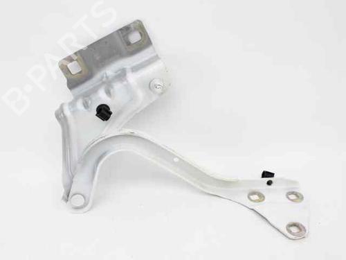 Hinge/Door check strap RENAULT MEGANE IV Grandtour (K9A/M/N_) 1.5 dCi 110 | BP29143724C146 