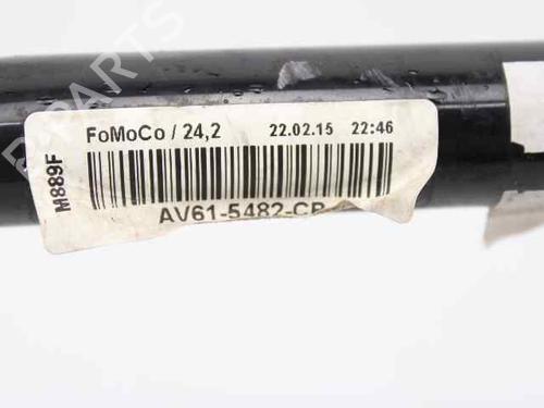 Anti roll bar FORD FOCUS III  | BP19238707M96 