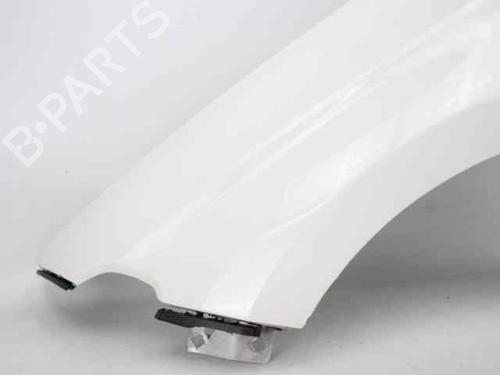 Left front fenders FIAT TIPO Hatchback (356_, 357_) 1.3 D (356HXH1A) | BP26226135C41 