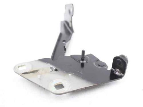 Hinge/Door check strap RENAULT MEGANE III Hatchback (BZ0/1_, B3_) 1.5 dCi | BP19234247C146 