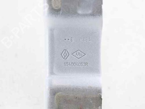 Hinge/Door check strap DACIA JOGGER (RK_) 1.0 TCe 90 ECO-G (RKMT) | BP31366936C146