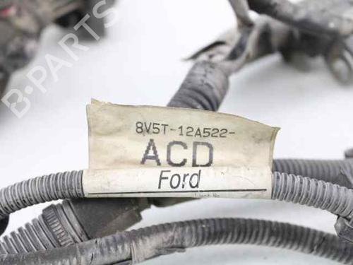 Wiring harness FORD FIESTA VI (CB1, CCN)  | BP19226216E16 