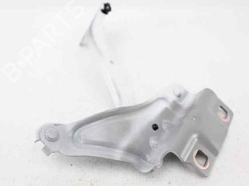 Hinge/Door check strap RENAULT MEGANE IV Grandtour (K9A/M/N_) 1.5 dCi 110 | BP29143724C146 